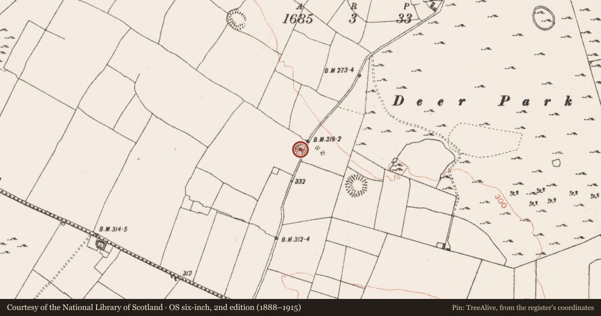 Ordnance Survey six-inch map, 2nd edition (1888–1915) covering the location of Ringfort - rath, Coolteige, County Roscommon, with a pin at the register's coordinates