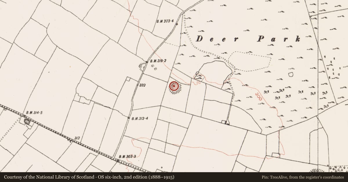 Ordnance Survey six-inch map, 2nd edition (1888–1915) covering the location of Ringfort - rath, Coolteige, County Roscommon, with a pin at the register's coordinates