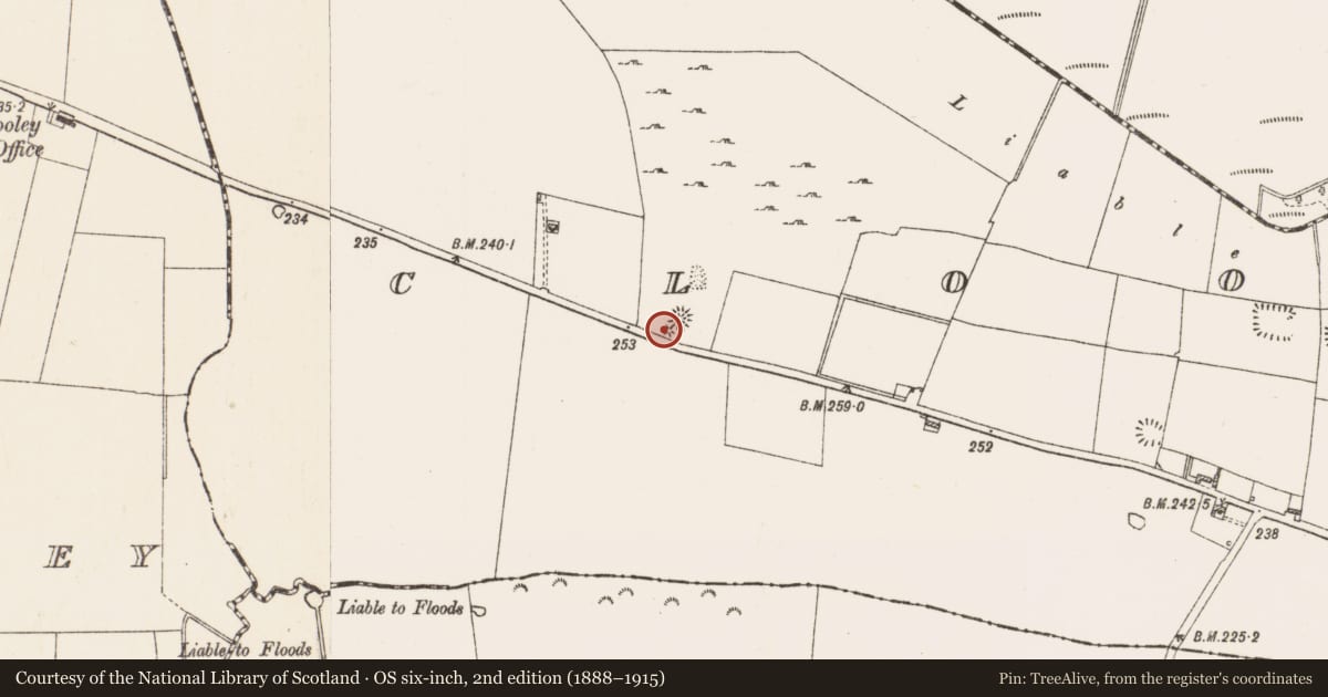 Ordnance Survey six-inch map, 2nd edition (1888–1915) covering the location of Barrow - mound barrow, Clooneenbaun, County Roscommon, with a pin at the register's coordinates