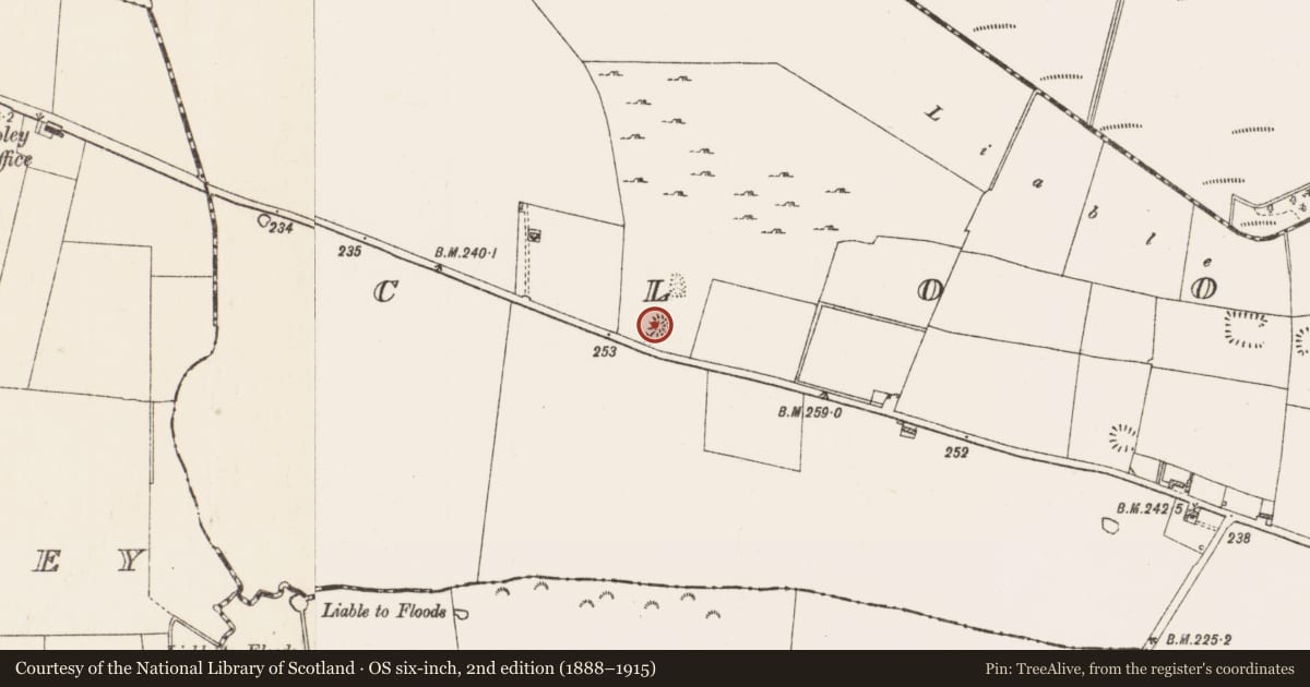 Ordnance Survey six-inch map, 2nd edition (1888–1915) covering the location of Barrow - ring-barrow, Clooneenbaun, County Roscommon, with a pin at the register's coordinates