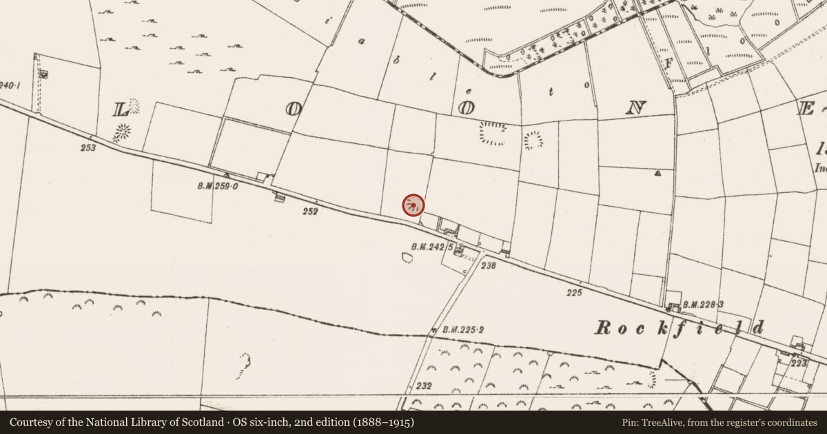 Ordnance Survey six-inch map, 2nd edition (1888–1915) covering the location of Barrow - ring-barrow, Clooneenbaun, County Roscommon, with a pin at the register's coordinates