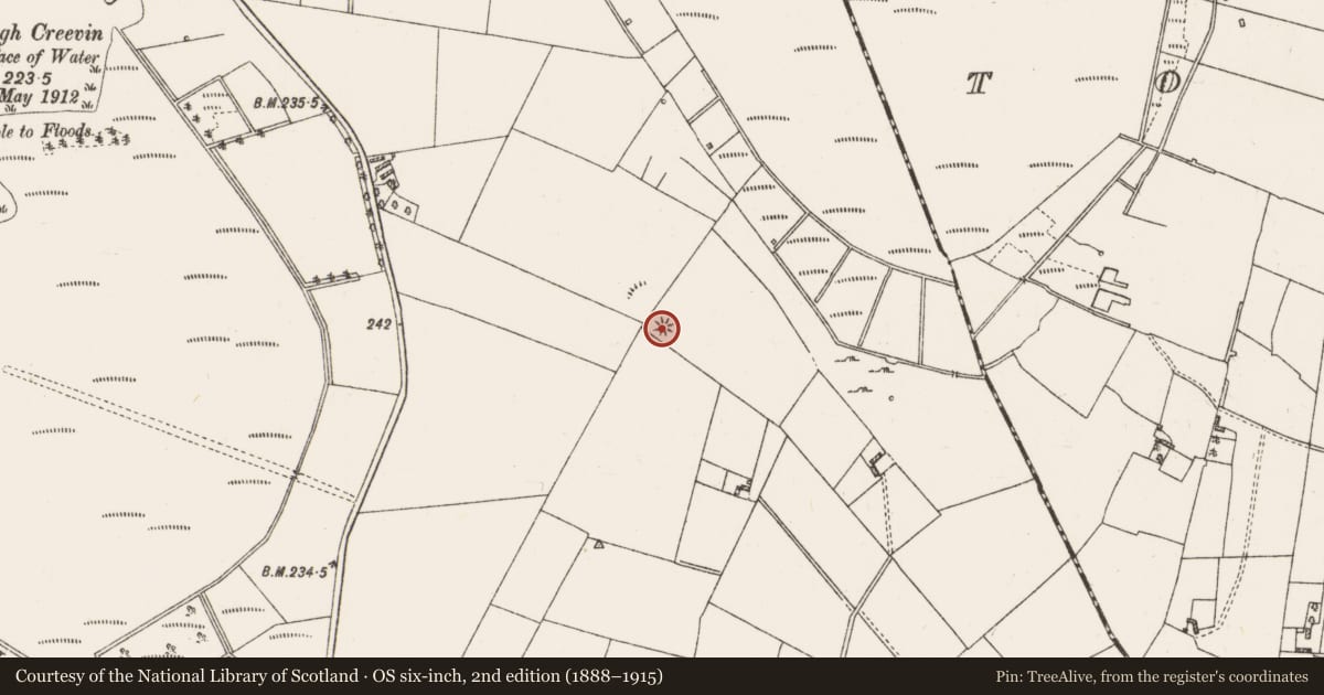 Ordnance Survey six-inch map, 2nd edition (1888–1915) covering the location of Cairn - clearance cairn, Clooneenbaun, County Roscommon, with a pin at the register's coordinates