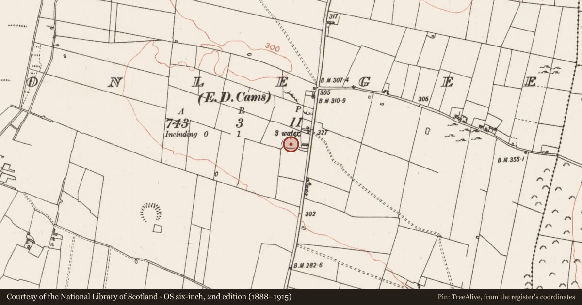 Ordnance Survey six-inch map, 2nd edition (1888–1915) covering the location of Quarry, Tonlegee, County Roscommon, with a pin at the register's coordinates