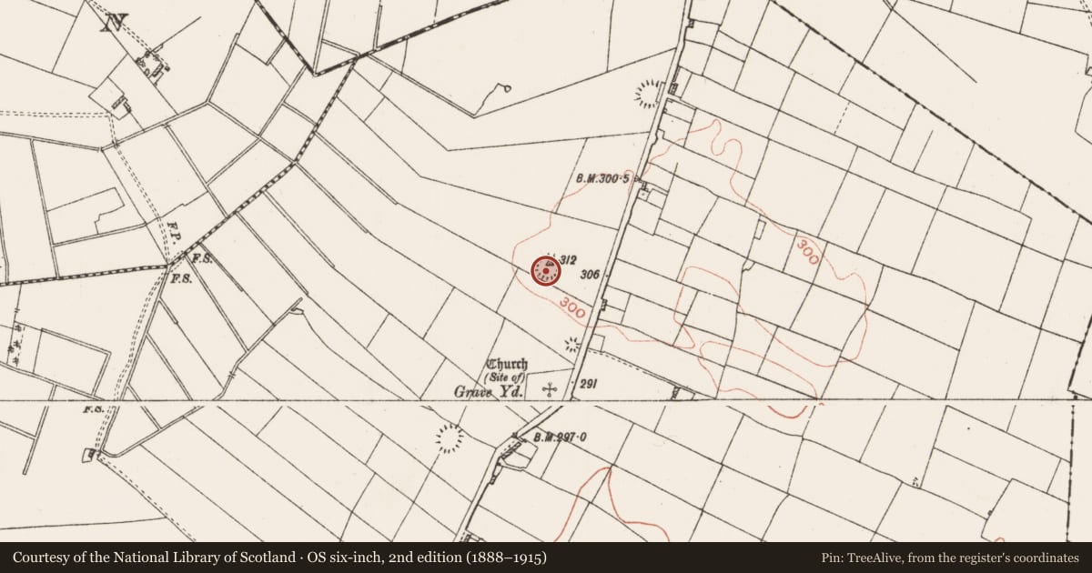 Ordnance Survey six-inch map, 2nd edition (1888–1915) covering the location of Ringfort - rath, Lissagallan, County Roscommon, with a pin at the register's coordinates