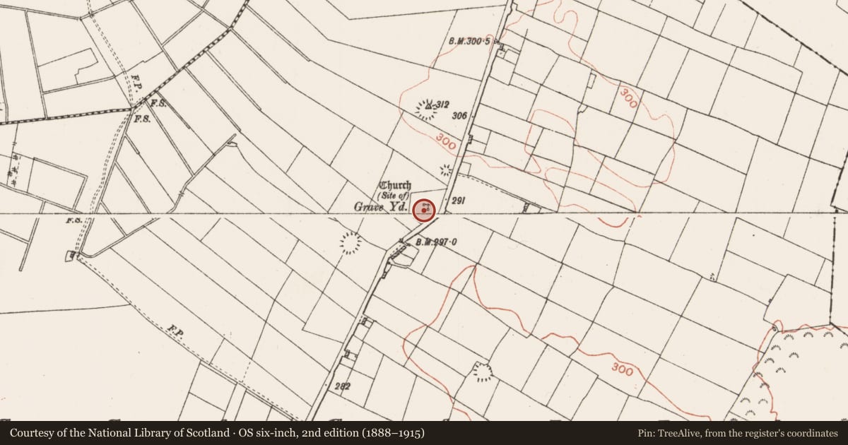Ordnance Survey six-inch map, 2nd edition (1888–1915) covering the location of Graveyard, Lissagallan, County Roscommon, with a pin at the register's coordinates