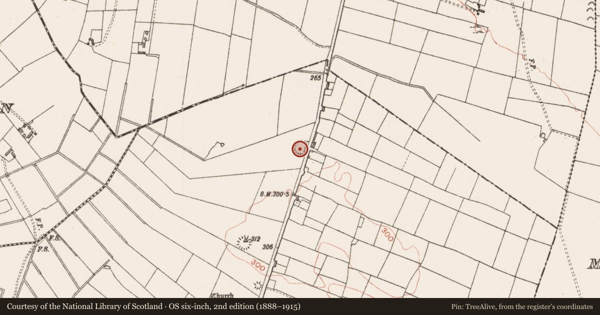 Ordnance Survey six-inch map, 2nd edition (1888–1915) covering the location of Ringfort - rath, Lissagallan, County Roscommon, with a pin at the register's coordinates