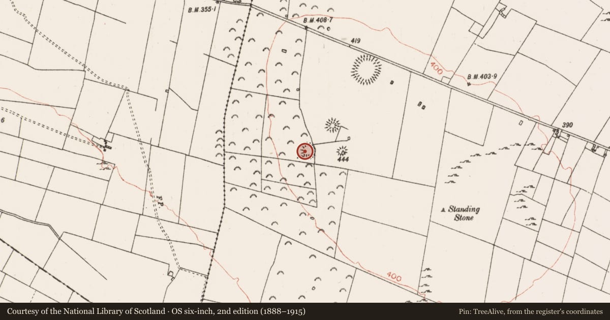 Ordnance Survey six-inch map, 2nd edition (1888–1915) covering the location of Barrow - ring-barrow, Mullymucks, County Roscommon, with a pin at the register's coordinates