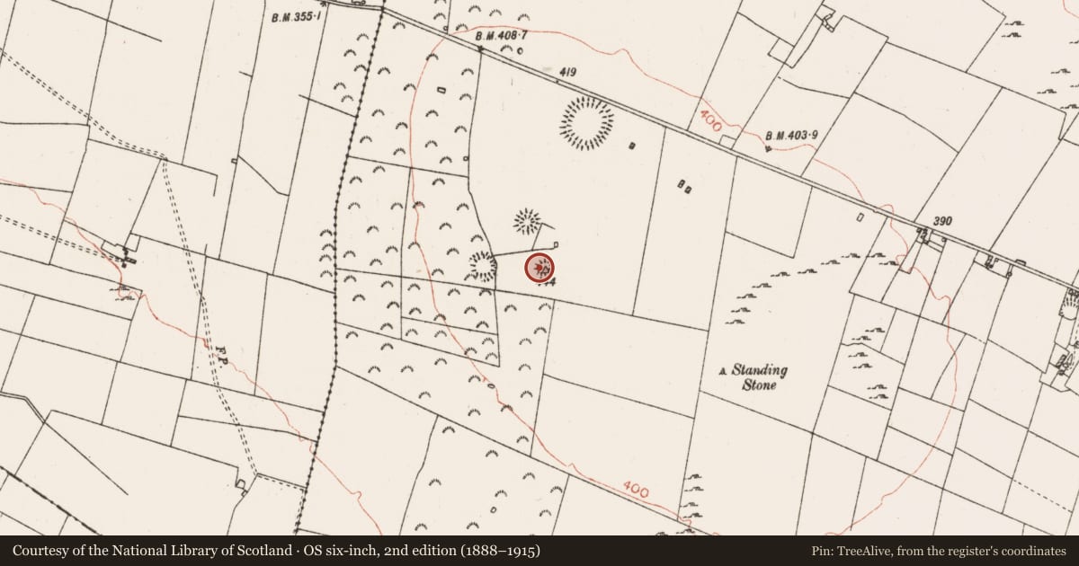 Ordnance Survey six-inch map, 2nd edition (1888–1915) covering the location of Barrow - embanked barrow, Mullymucks, County Roscommon, with a pin at the register's coordinates