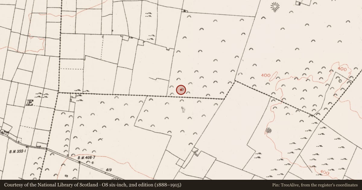 Ordnance Survey six-inch map, 2nd edition (1888–1915) covering the location of Barrow - ring-barrow, Rathconor, County Roscommon, with a pin at the register's coordinates