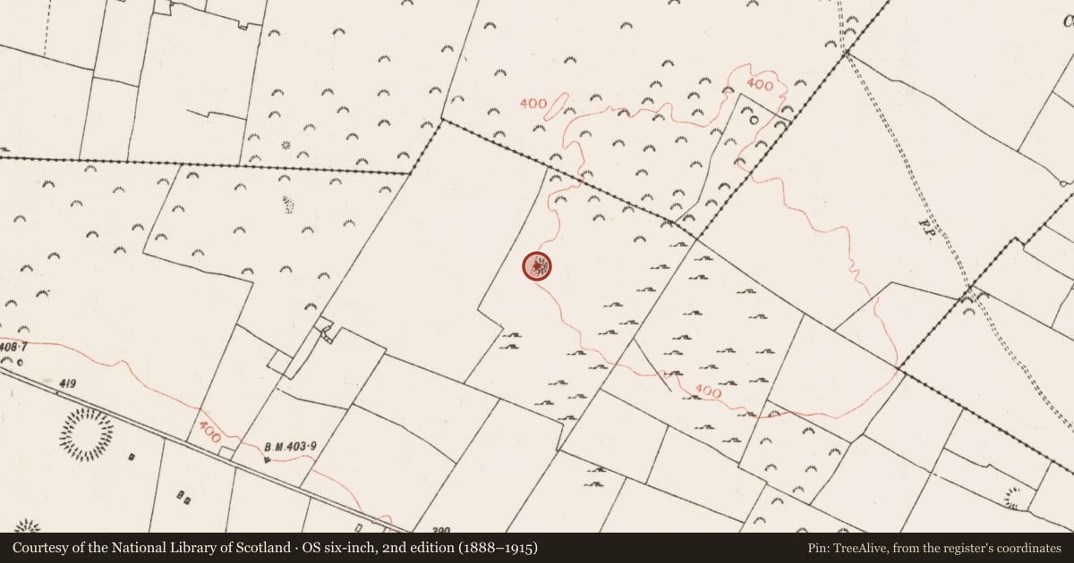 Ordnance Survey six-inch map, 2nd edition (1888–1915) covering the location of Barrow - ring-barrow, Mullymucks, County Roscommon, with a pin at the register's coordinates