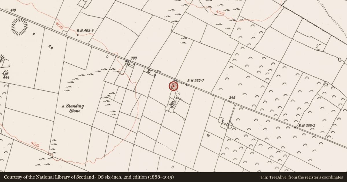 Ordnance Survey six-inch map, 2nd edition (1888–1915) covering the location of Ringfort - rath, Mullymucks, County Roscommon, with a pin at the register's coordinates