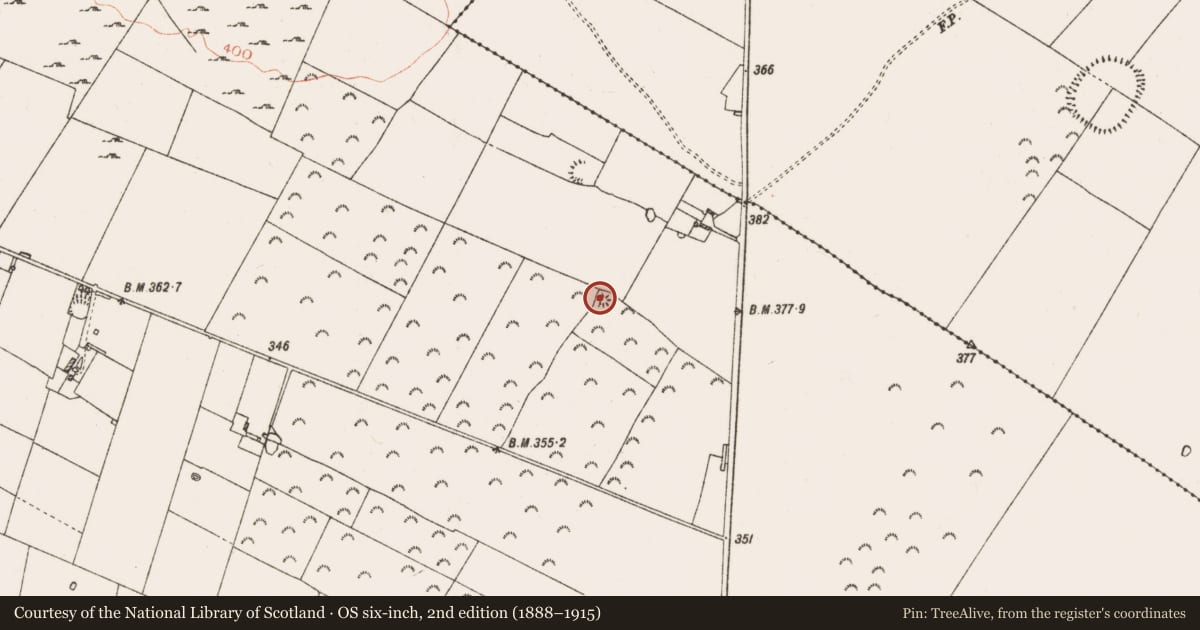 Ordnance Survey six-inch map, 2nd edition (1888–1915) covering the location of Barrow - ring-barrow, Mullymucks, County Roscommon, with a pin at the register's coordinates