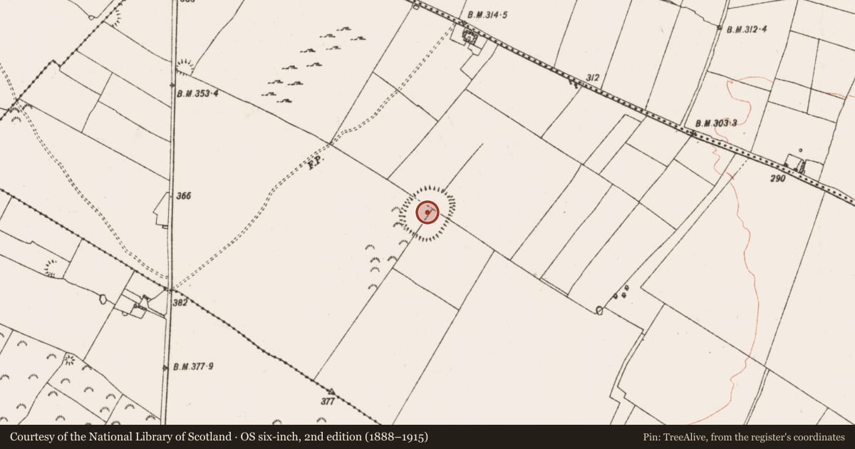 Ordnance Survey six-inch map, 2nd edition (1888–1915) covering the location of Enclosure - large enclosure, Derrane, County Roscommon, with a pin at the register's coordinates