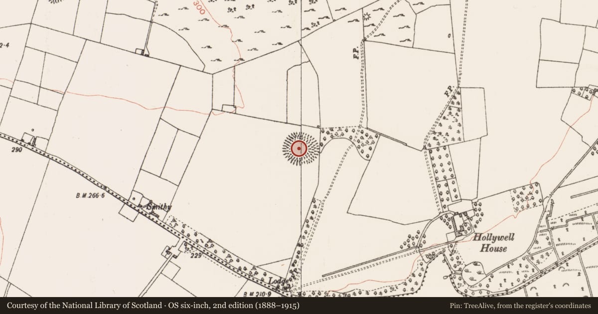 Ordnance Survey six-inch map, 2nd edition (1888–1915) covering the location of Ringfort - rath, Coolteige, County Roscommon, with a pin at the register's coordinates