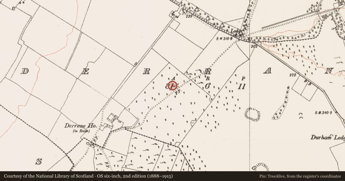 Ordnance Survey six-inch map, 2nd edition (1888–1915) covering the location of Ringfort - rath, Derrane, County Roscommon, with a pin at the register's coordinates
