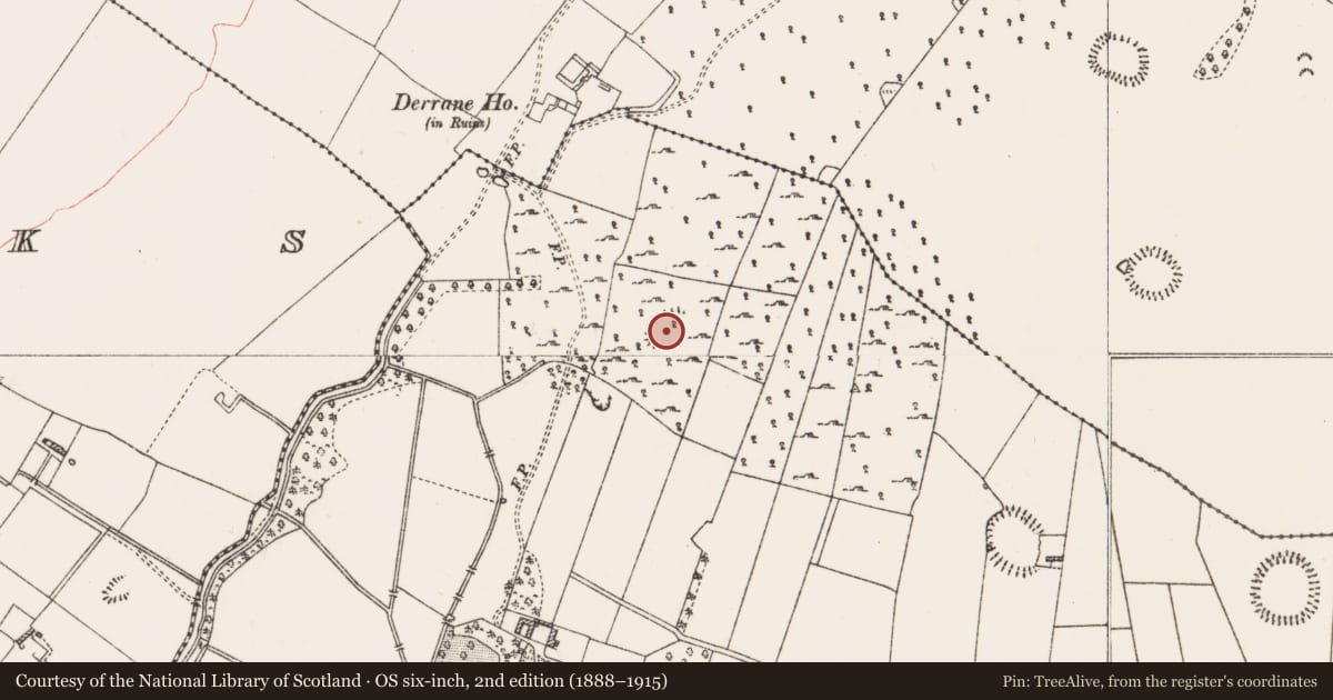 Ordnance Survey six-inch map, 2nd edition (1888–1915) covering the location of Ringfort - cashel, Roxborough, County Roscommon, with a pin at the register's coordinates