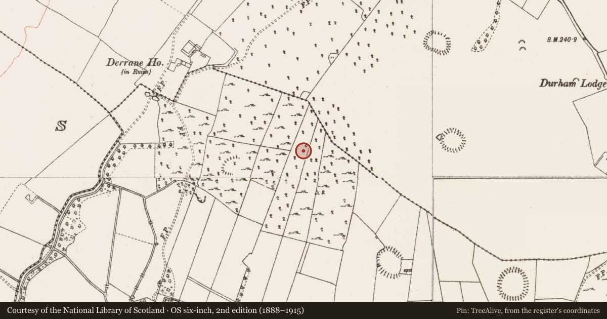 Ordnance Survey six-inch map, 2nd edition (1888–1915) covering the location of Ringfort - cashel, Roxborough, County Roscommon, with a pin at the register's coordinates