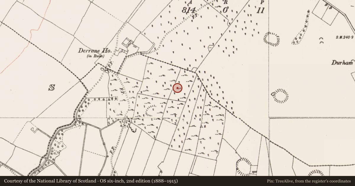 Ordnance Survey six-inch map, 2nd edition (1888–1915) covering the location of Field system, Roxborough, County Roscommon, with a pin at the register's coordinates