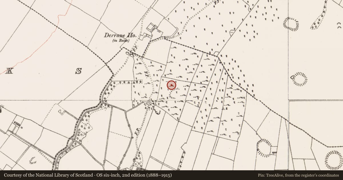 Ordnance Survey six-inch map, 2nd edition (1888–1915) covering the location of House - indeterminate date, Roxborough, County Roscommon, with a pin at the register's coordinates