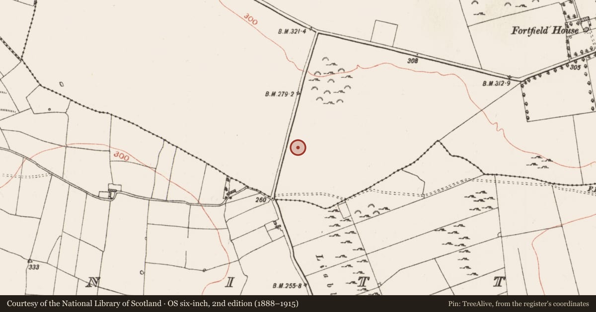 Ordnance Survey six-inch map, 2nd edition (1888–1915) covering the location of Enclosure, Carrownalassan, County Roscommon, with a pin at the register's coordinates