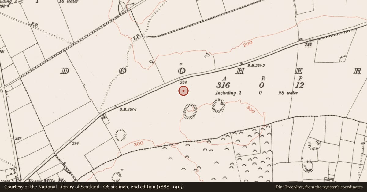 Ordnance Survey six-inch map, 2nd edition (1888–1915) covering the location of Road - road/trackway, Dooherty, County Roscommon, with a pin at the register's coordinates