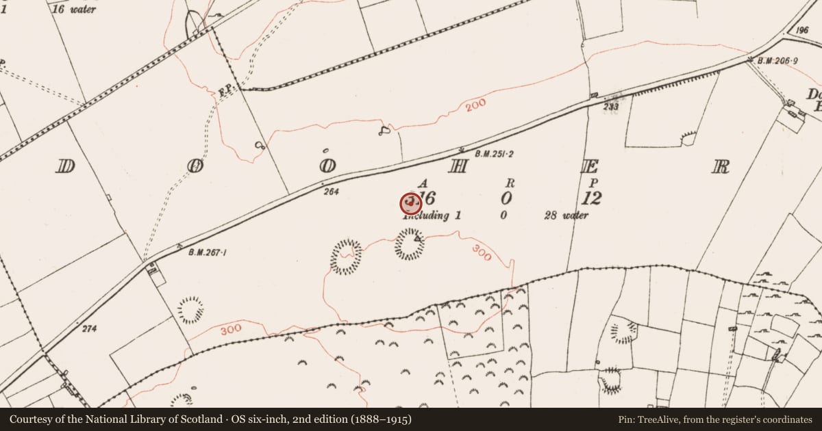 Ordnance Survey six-inch map, 2nd edition (1888–1915) covering the location of Road - road/trackway, Dooherty, County Roscommon, with a pin at the register's coordinates