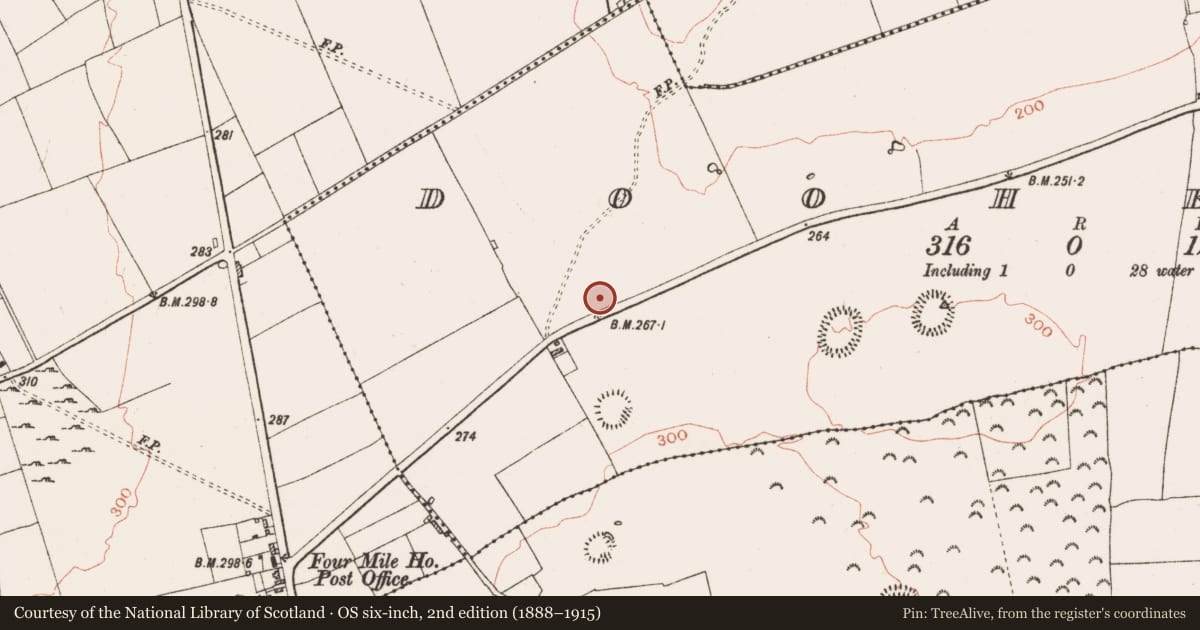Ordnance Survey six-inch map, 2nd edition (1888–1915) covering the location of Road - road/trackway, Dooherty, County Roscommon, with a pin at the register's coordinates