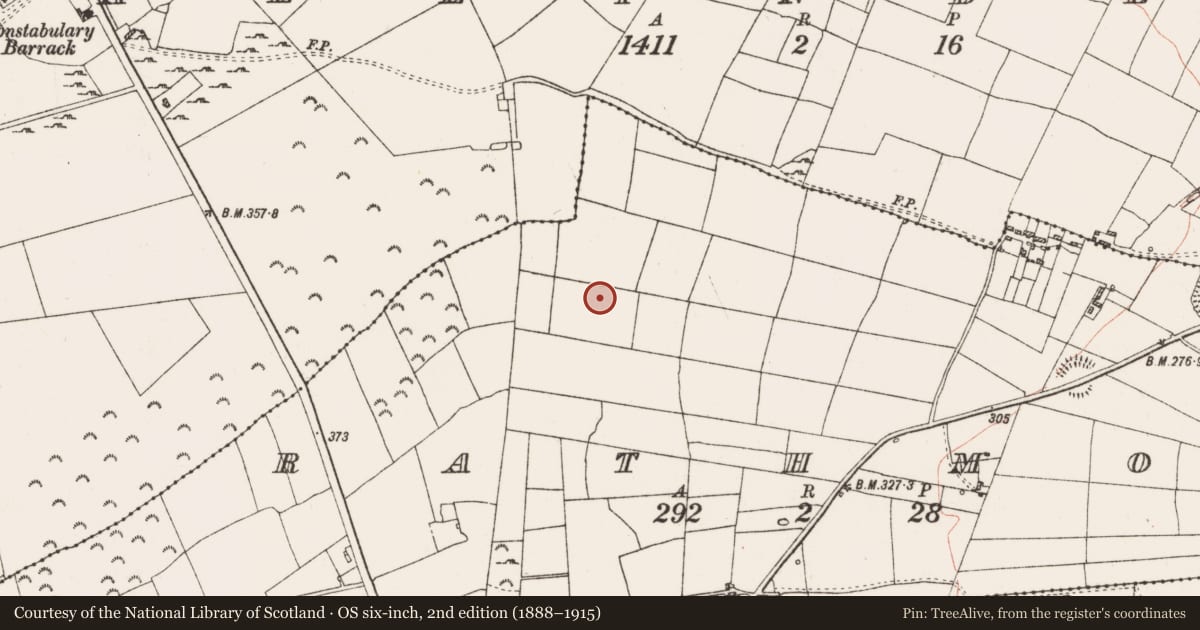 Ordnance Survey six-inch map, 2nd edition (1888–1915) covering the location of Ringfort - cashel, Rathmore, County Roscommon, with a pin at the register's coordinates