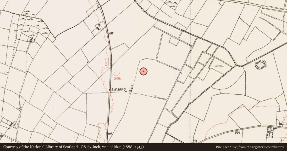 Ordnance Survey six-inch map, 2nd edition (1888–1915) covering the location of Enclosure, Ballinderry, County Roscommon, with a pin at the register's coordinates