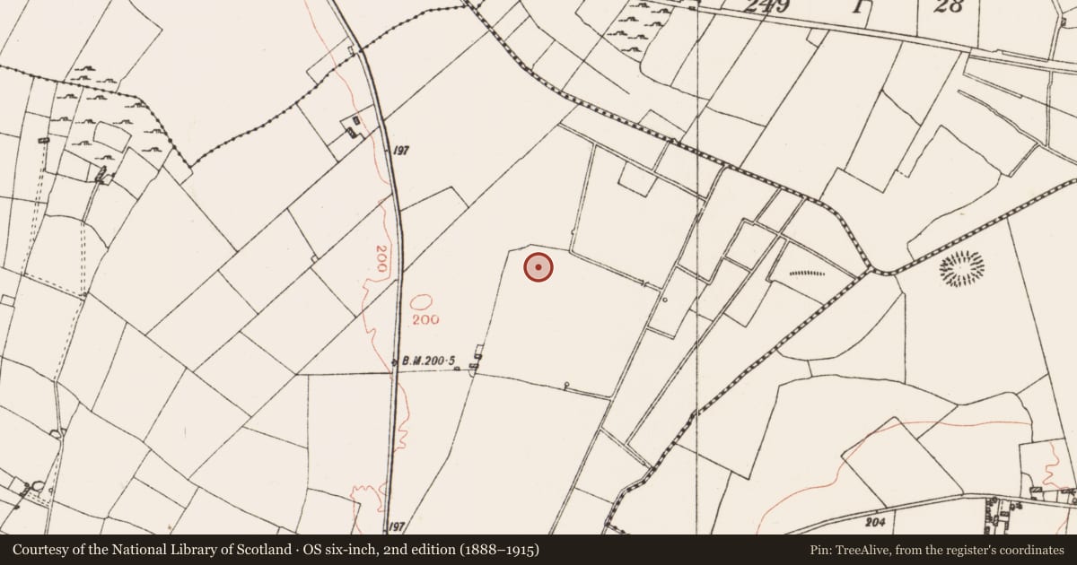 Ordnance Survey six-inch map, 2nd edition (1888–1915) covering the location of House - indeterminate date, Ballinderry, County Roscommon, with a pin at the register's coordinates