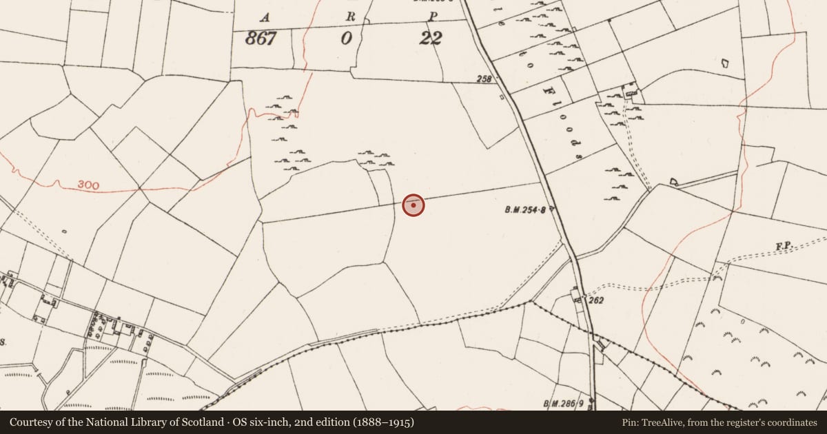 Ordnance Survey six-inch map, 2nd edition (1888–1915) covering the location of Barrow - mound barrow, Kinitty, County Roscommon, with a pin at the register's coordinates