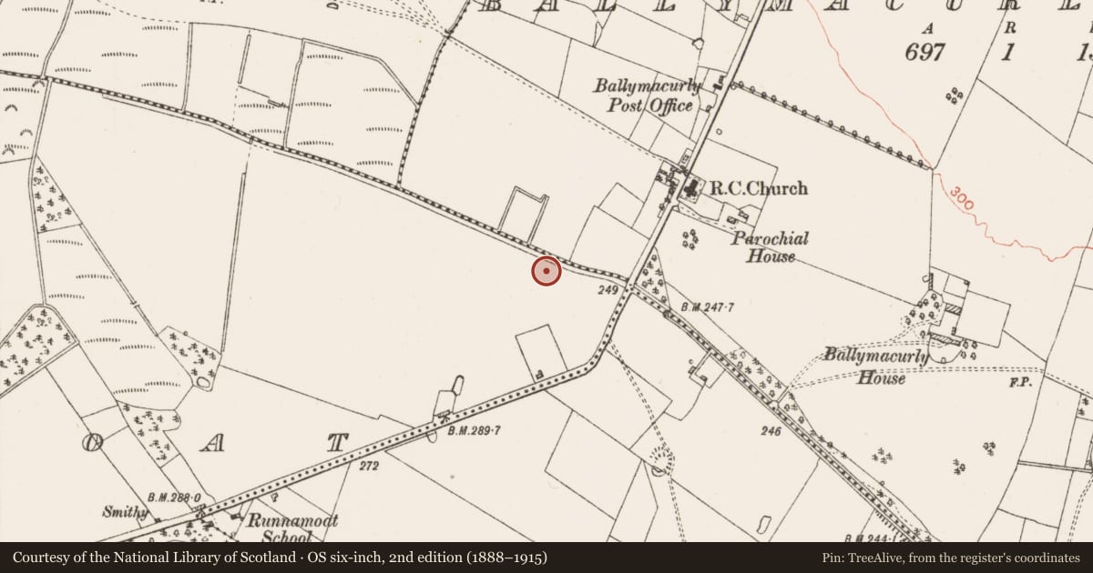 Ordnance Survey six-inch map, 2nd edition (1888–1915) covering the location of Ringfort - rath, Runnamoat, County Roscommon, with a pin at the register's coordinates
