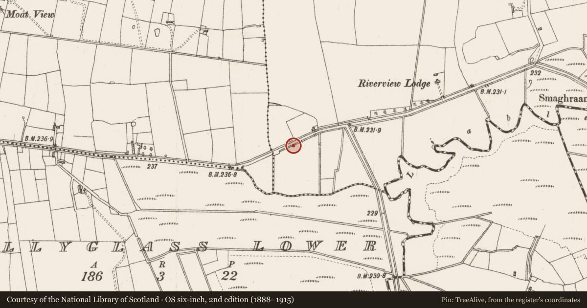 Ordnance Survey six-inch map, 2nd edition (1888–1915) covering the location of Enclosure - large enclosure, Kiltultoge, County Roscommon, with a pin at the register's coordinates
