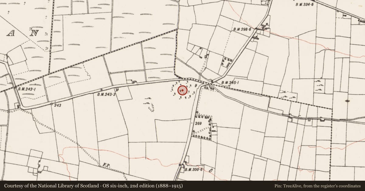Ordnance Survey six-inch map, 2nd edition (1888–1915) covering the location of Enclosure, Tonlegee, County Roscommon, with a pin at the register's coordinates