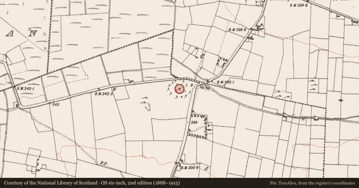 Ordnance Survey six-inch map, 2nd edition (1888–1915) covering the location of Cairn - clearance cairn, Tonlegee, County Roscommon, with a pin at the register's coordinates