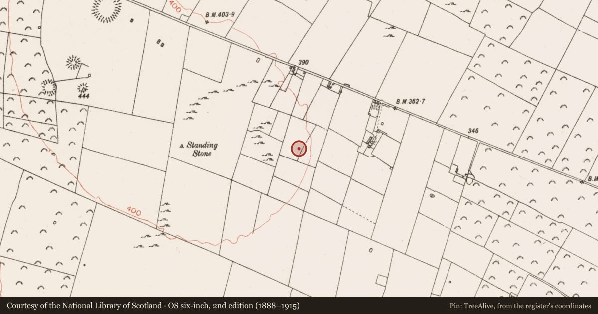 Ordnance Survey six-inch map, 2nd edition (1888–1915) covering the location of Barrow - ring-barrow, Mullymucks, County Roscommon, with a pin at the register's coordinates