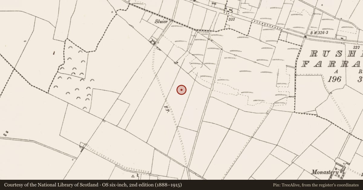 Ordnance Survey six-inch map, 2nd edition (1888–1915) covering the location of Field system, Ardlagheen More Or Highlake, County Roscommon, with a pin at the register's coordinates