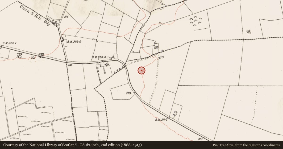 Ordnance Survey six-inch map, 2nd edition (1888–1915) covering the location of Ringfort - rath, Carrownalassan, County Roscommon, with a pin at the register's coordinates