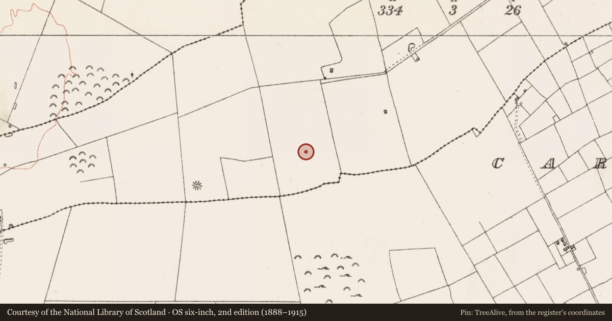 Ordnance Survey six-inch map, 2nd edition (1888–1915) covering the location of Barrow - ditch barrow, Casheltauna, County Roscommon, with a pin at the register's coordinates