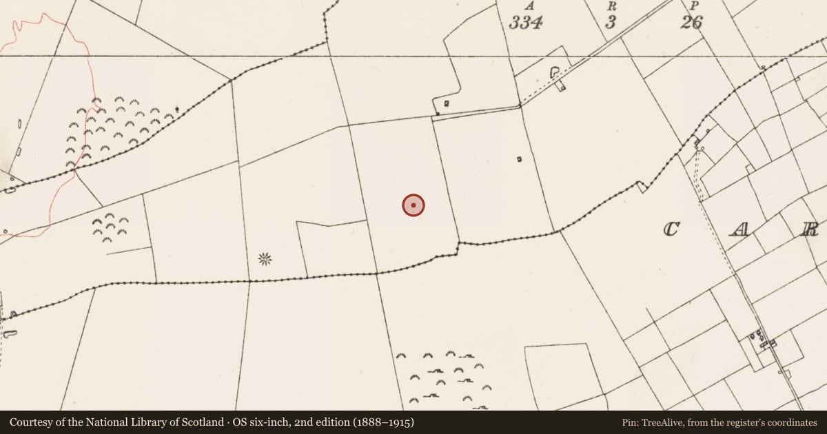 Ordnance Survey six-inch map, 2nd edition (1888–1915) covering the location of Field boundary, Casheltauna, County Roscommon, with a pin at the register's coordinates