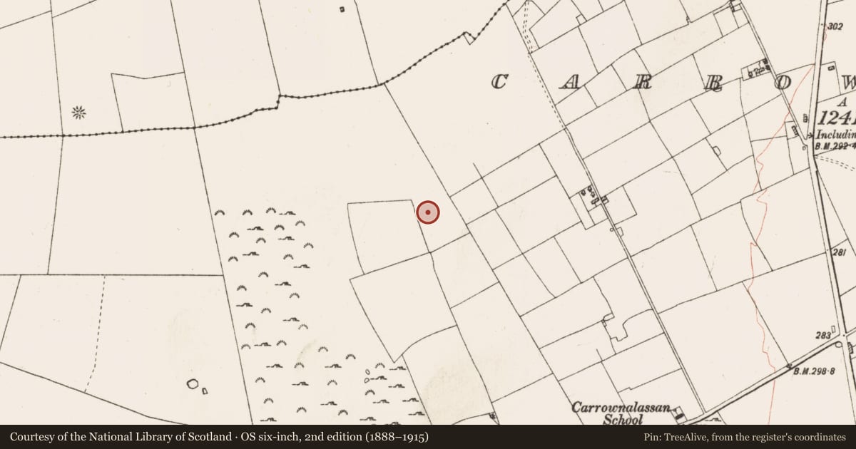 Ordnance Survey six-inch map, 2nd edition (1888–1915) covering the location of Moated site, Carrownalassan, County Roscommon, with a pin at the register's coordinates