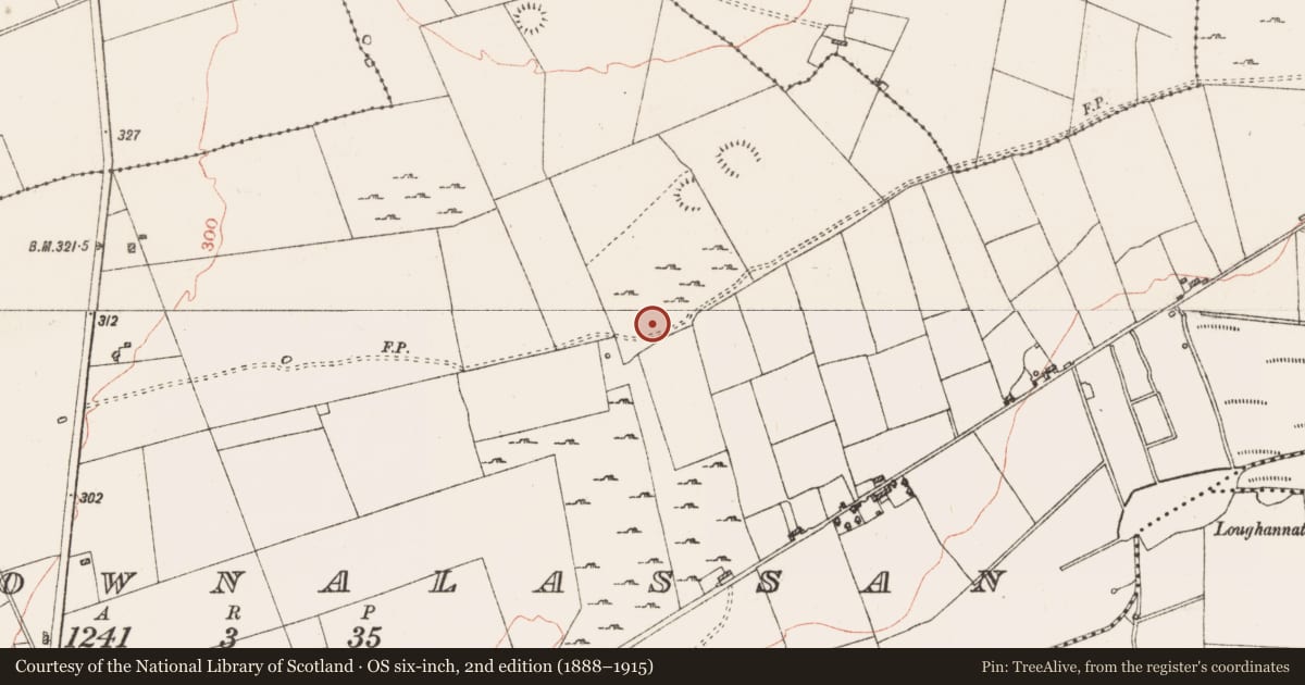 Ordnance Survey six-inch map, 2nd edition (1888–1915) covering the location of Ringfort - cashel, Carrownalassan, County Roscommon, with a pin at the register's coordinates