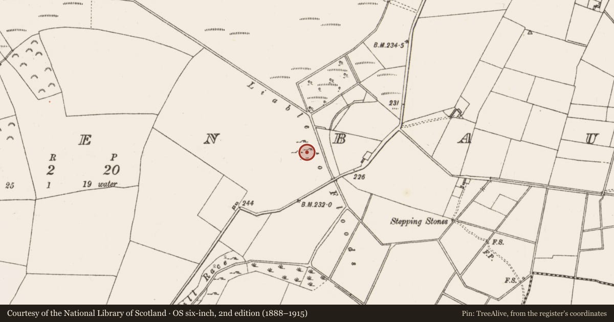 Ordnance Survey six-inch map, 2nd edition (1888–1915) covering the location of Enclosure, Clooneenbaun, County Roscommon, with a pin at the register's coordinates