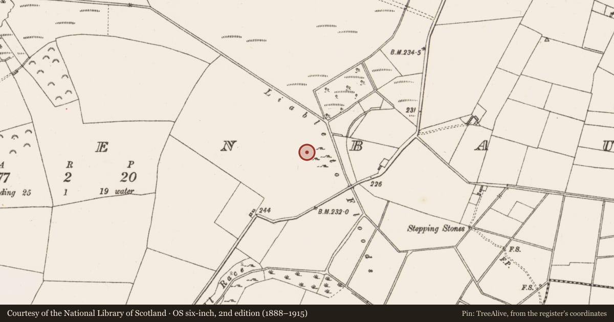 Ordnance Survey six-inch map, 2nd edition (1888–1915) covering the location of Mill - unclassified, Clooneenbaun, County Roscommon, with a pin at the register's coordinates