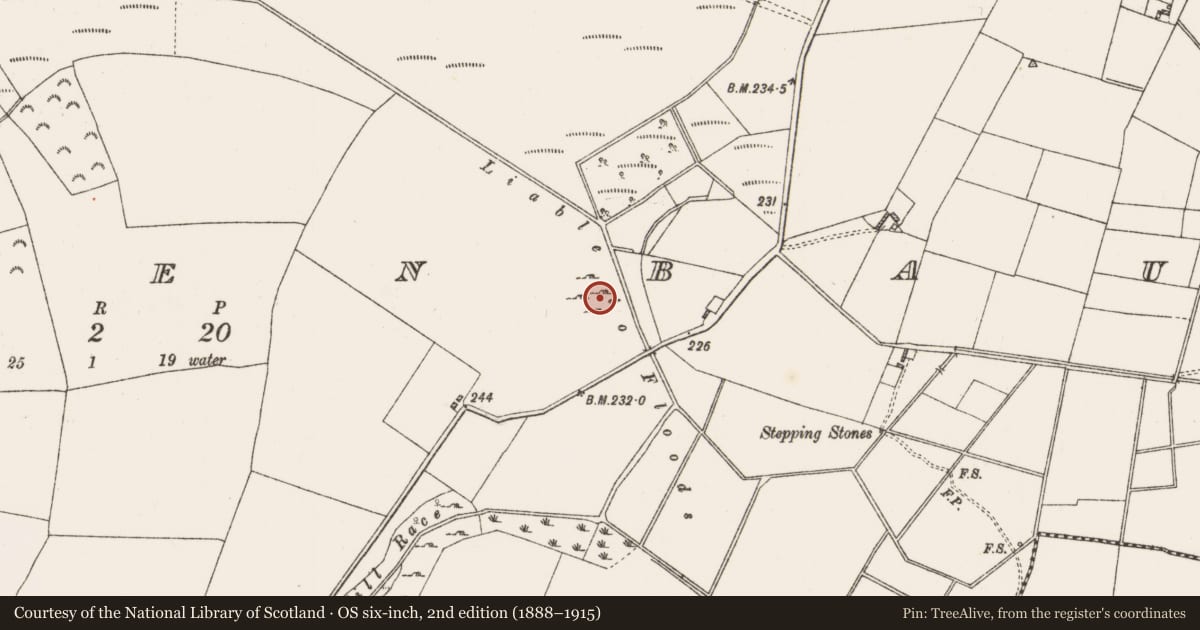 Ordnance Survey six-inch map, 2nd edition (1888–1915) covering the location of Cairn - clearance cairn, Clooneenbaun, County Roscommon, with a pin at the register's coordinates