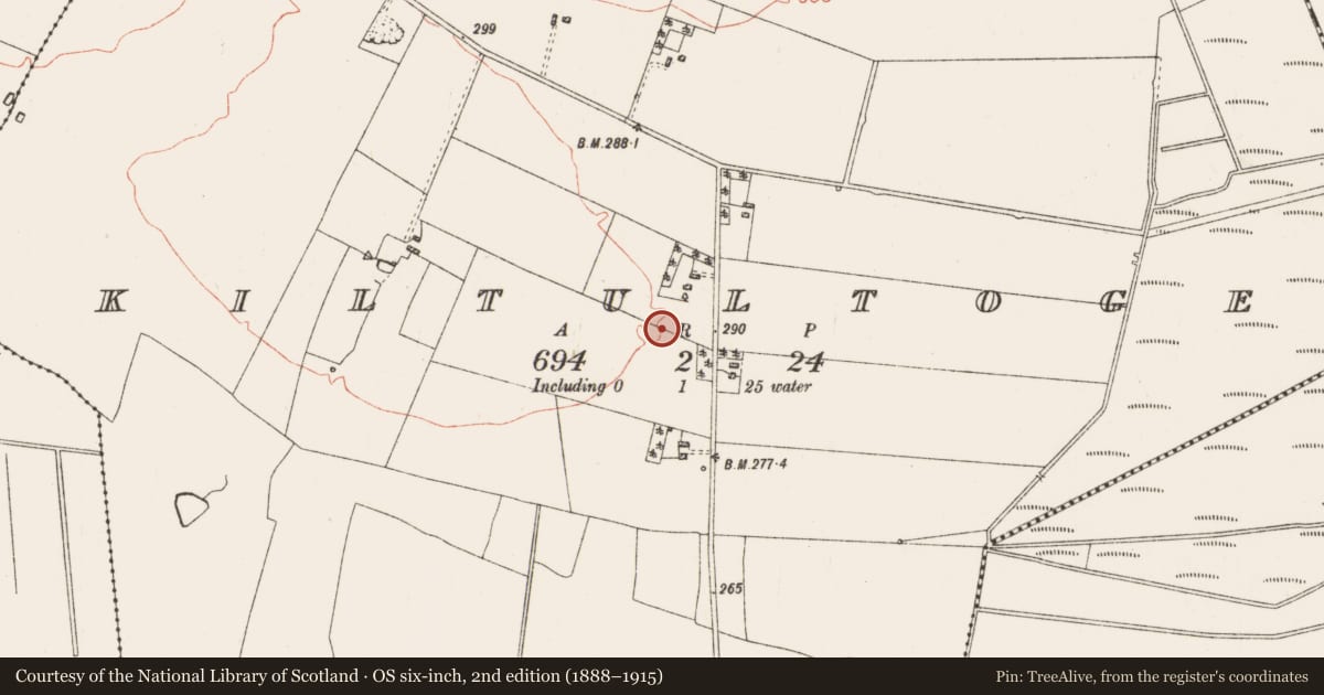 Ordnance Survey six-inch map, 2nd edition (1888–1915) covering the location of Enclosure, Kiltultoge, County Roscommon, with a pin at the register's coordinates