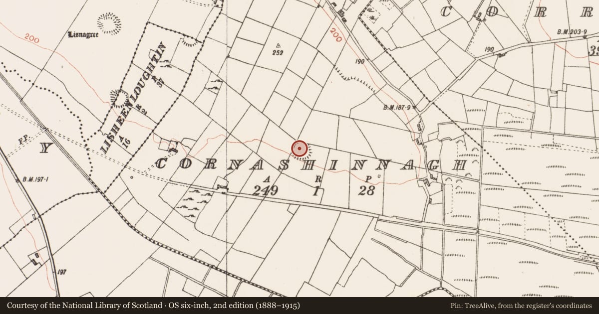Ordnance Survey six-inch map, 2nd edition (1888–1915) covering the location of Ringfort - rath, Cornashinnagh, County Roscommon, with a pin at the register's coordinates