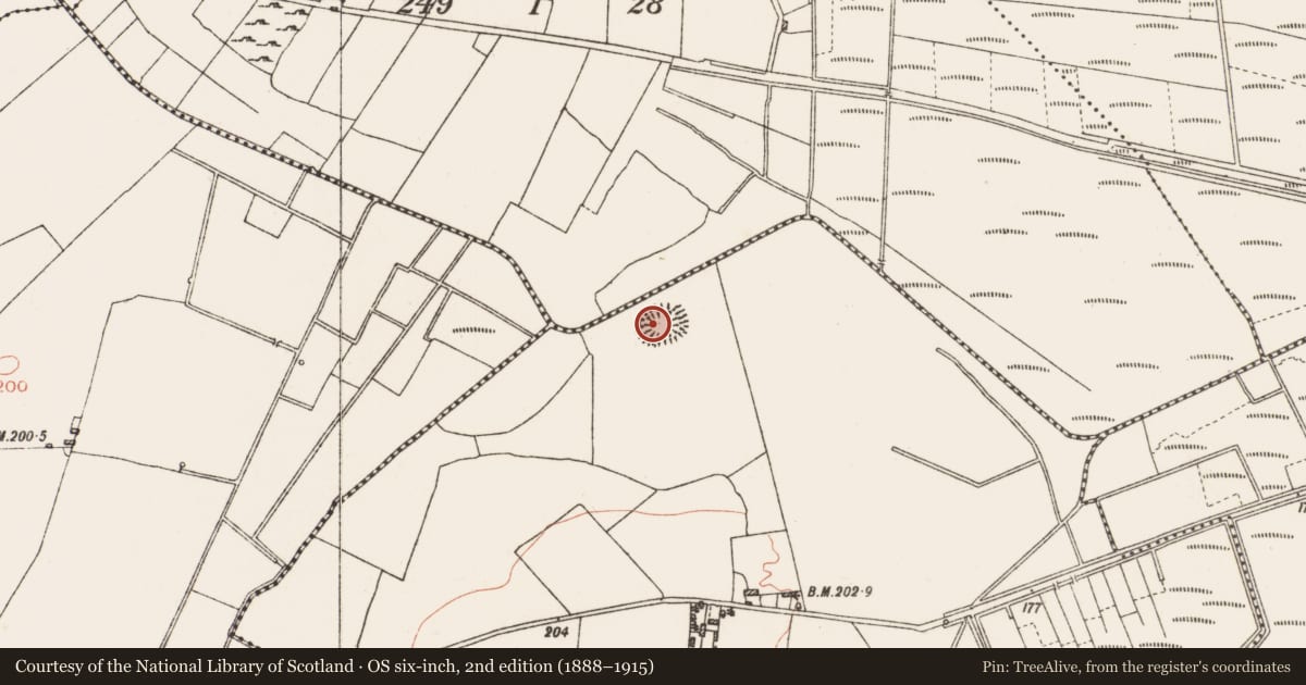 Ordnance Survey six-inch map, 2nd edition (1888–1915) covering the location of Concentric enclosure, Derrycanan, County Roscommon, with a pin at the register's coordinates
