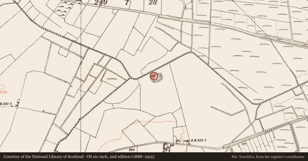 Ordnance Survey six-inch map, 2nd edition (1888–1915) covering the location of Cairn - clearance cairn, Derrycanan, County Roscommon, with a pin at the register's coordinates