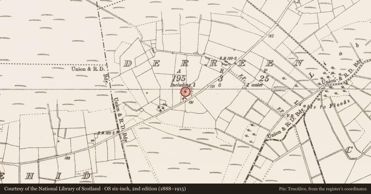 Ordnance Survey six-inch map, 2nd edition (1888–1915) covering the location of Ringfort - rath, Derreen, County Roscommon, with a pin at the register's coordinates
